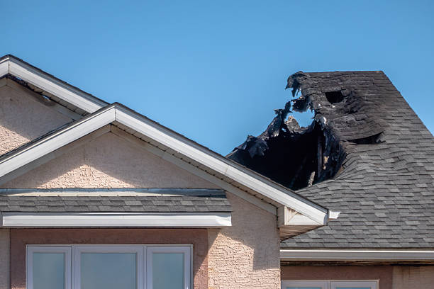 Top rated local Odor Removal specialists in Fountain Hills, AZ